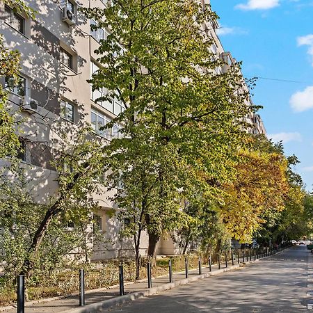 Garsoniera De Lux Si Eleganta Drumul Taberei 布加勒斯特 外观 照片
